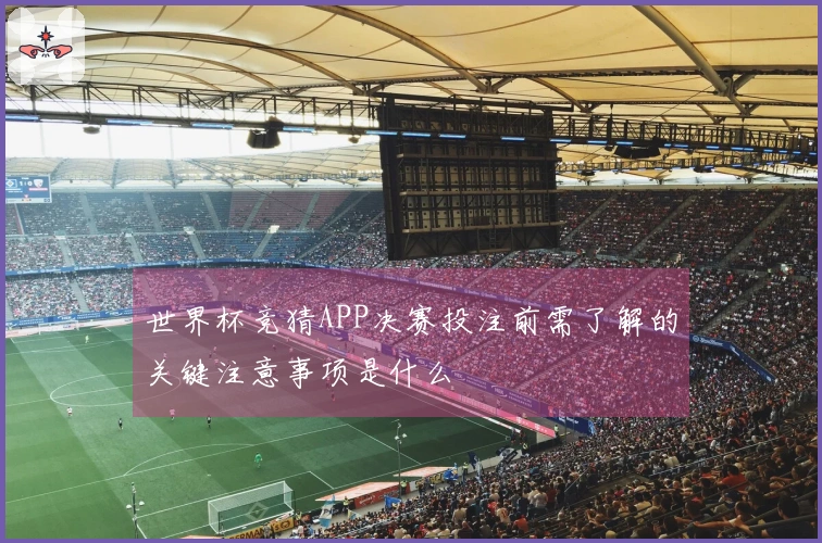 世界杯竞猜APP决赛投注前需了解的关键注意事项是什么