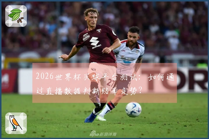 2026世界杯买球平台测试：如何通过直播数据判断赔率走势？