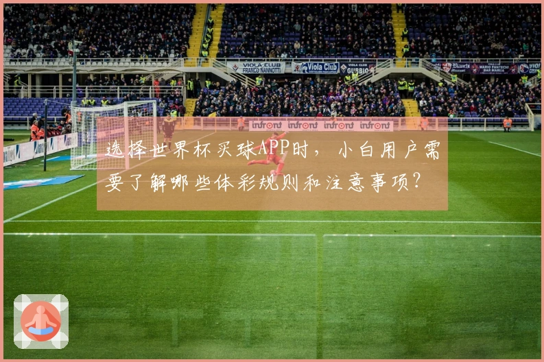 选择世界杯买球APP时，小白用户需要了解哪些体彩规则和注意事项？