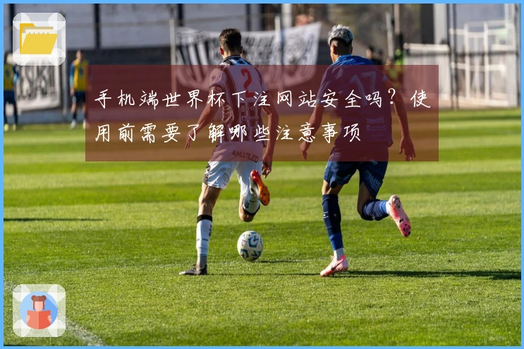 手机端世界杯下注网站安全吗？使用前需要了解哪些注意事项
