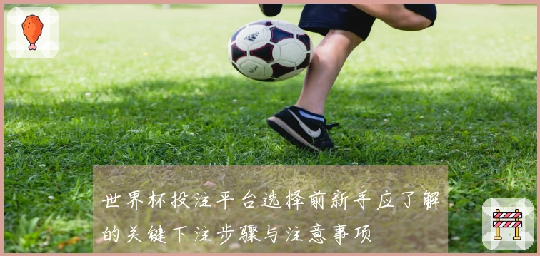 世界杯投注平台选择前新手应了解的关键下注步骤与注意事项