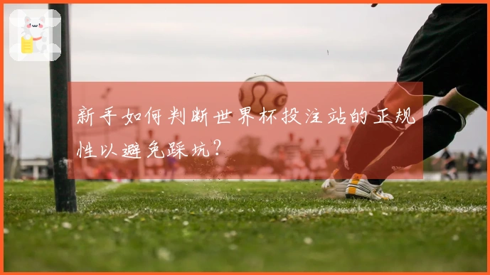 新手如何判断世界杯投注站的正规性以避免踩坑？