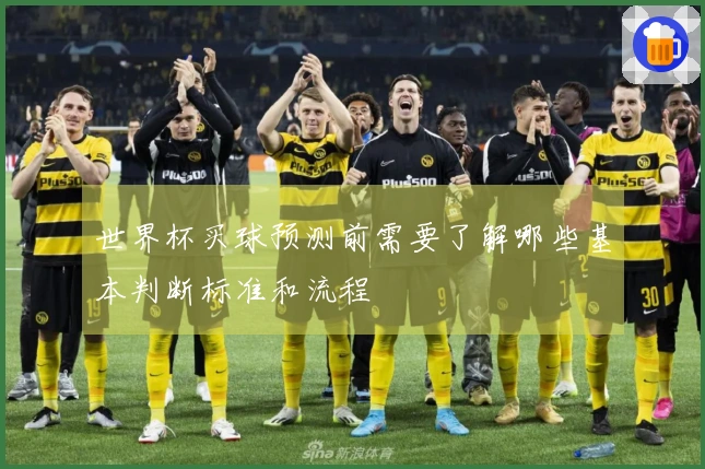 世界杯买球预测前需要了解哪些基本判断标准和流程