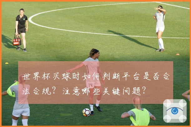 世界杯买球时如何判断平台是否合法合规?注意哪些关键问题?