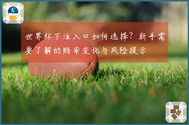 世界杯下注入口如何选择?新手需要了解的赔率变化与风险提示