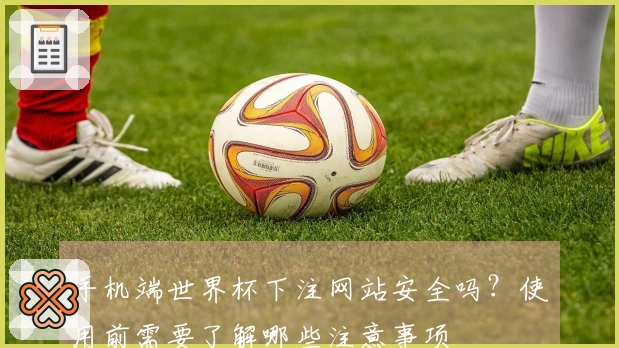 手机端世界杯下注网站安全吗？使用前需要了解哪些注意事项