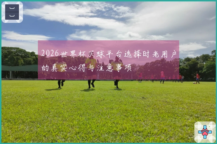2026世界杯买球平台选择时老用户的真实心得与注意事项