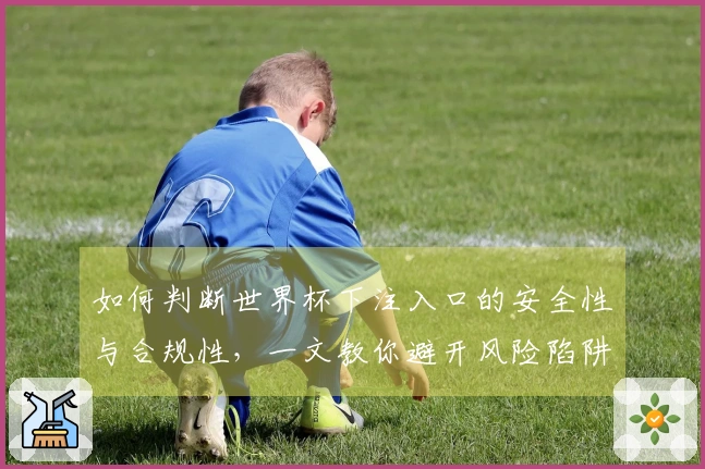 如何判断世界杯下注入口的安全性与合规性，一文教你避开风险陷阱