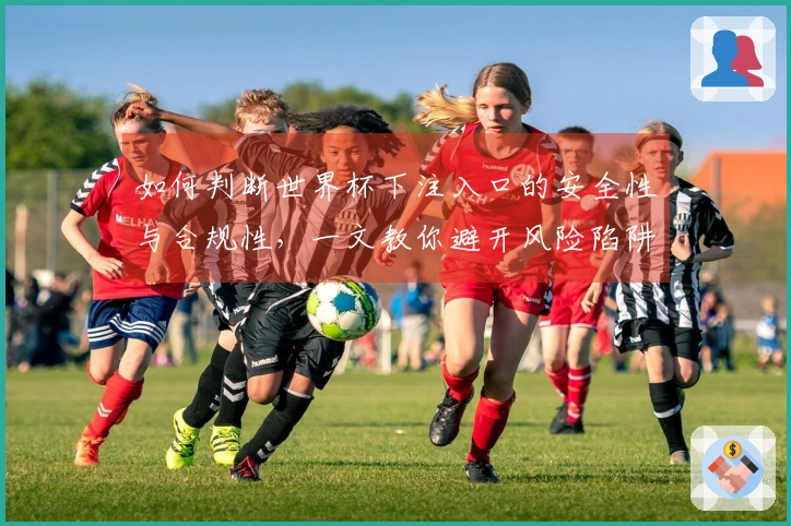 如何判断世界杯下注入口的安全性与合规性，一文教你避开风险陷阱
