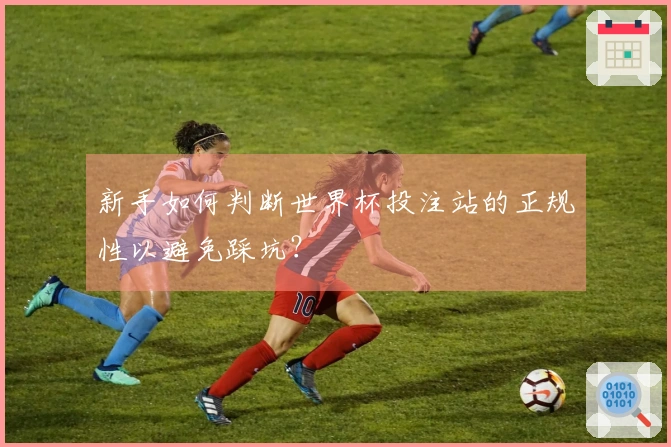 新手如何判断世界杯投注站的正规性以避免踩坑？