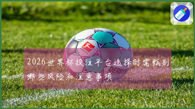 2026世界杯投注平台选择时需甄别哪些风险和注意事项
