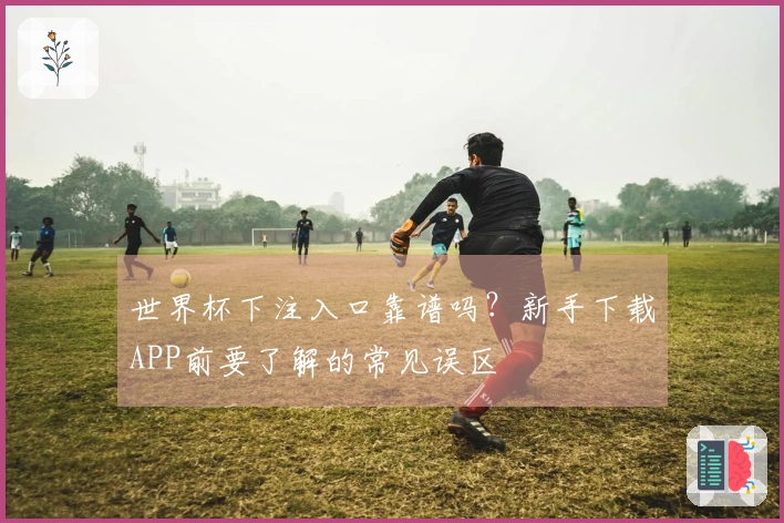 世界杯下注入口靠谱吗？新手下载APP前要了解的常见误区